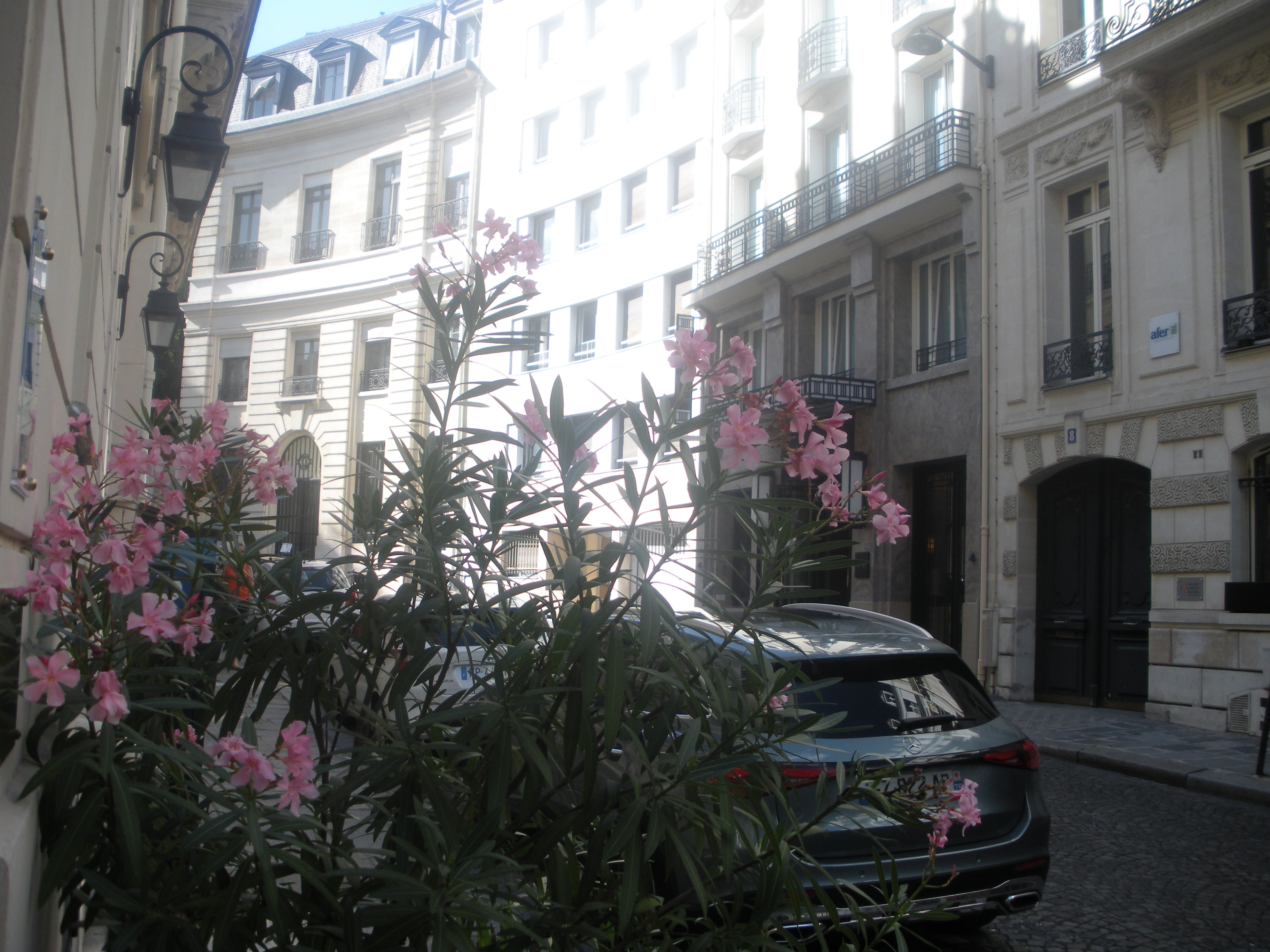 PARIS SUMMER 25 photo